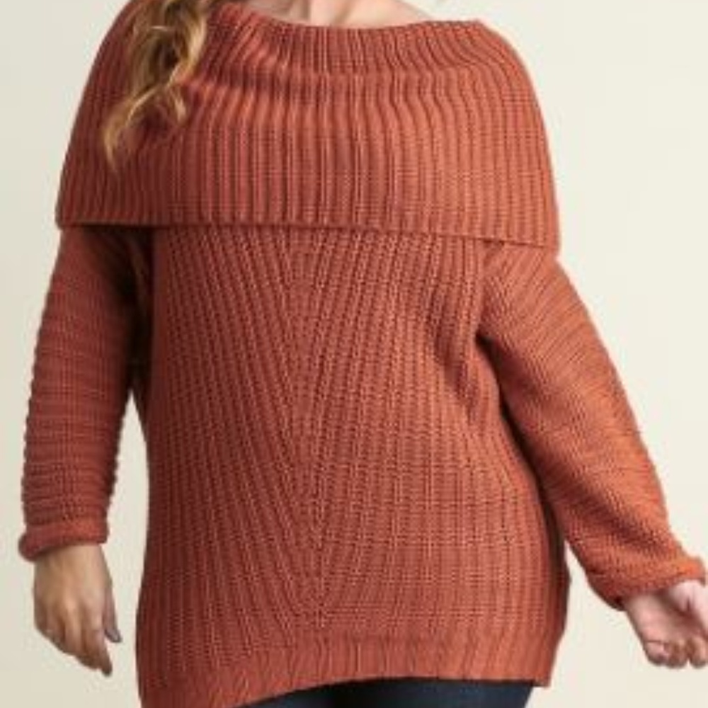Plus Size Pumpkin Off Shoulder Chunky Knit Sweater
